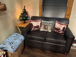 Smart TV, fireplace, books