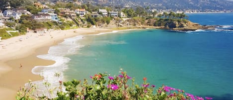 Sun-loungers, beach towels
