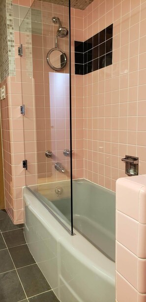 Shower, hair dryer, bidet, towels - Cozy 2 bedroom house/w garage in Skokie (Skokie)