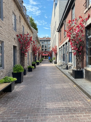 A narrow cobblestone street lined with historic stone buildings, some with red flowering plants.