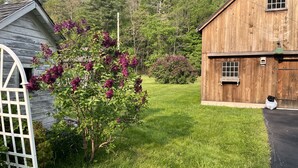 A wooden barn with a small window and a door, surrounded by a well-maintained lawn and flowering shrubs. - Catskill dreamy pet friendly country house  for a unique getaway experience. (Claryville)