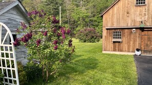 Exterior - Catskill dreamy pet friendly country house  for a unique getaway experience. (Claryville)