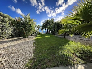 Vista del jardí