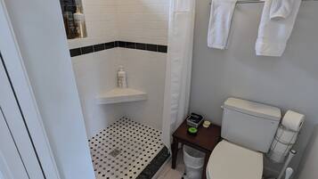 Shower, hair dryer
