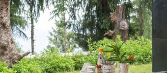 BluSalzz Homes - The Pine Tree, Dalhousie - Himachal Pradesh（ブルサルスホームズ - パイン・ツ リー、ダラジ、ヒマーチャル・プラデーシュ）