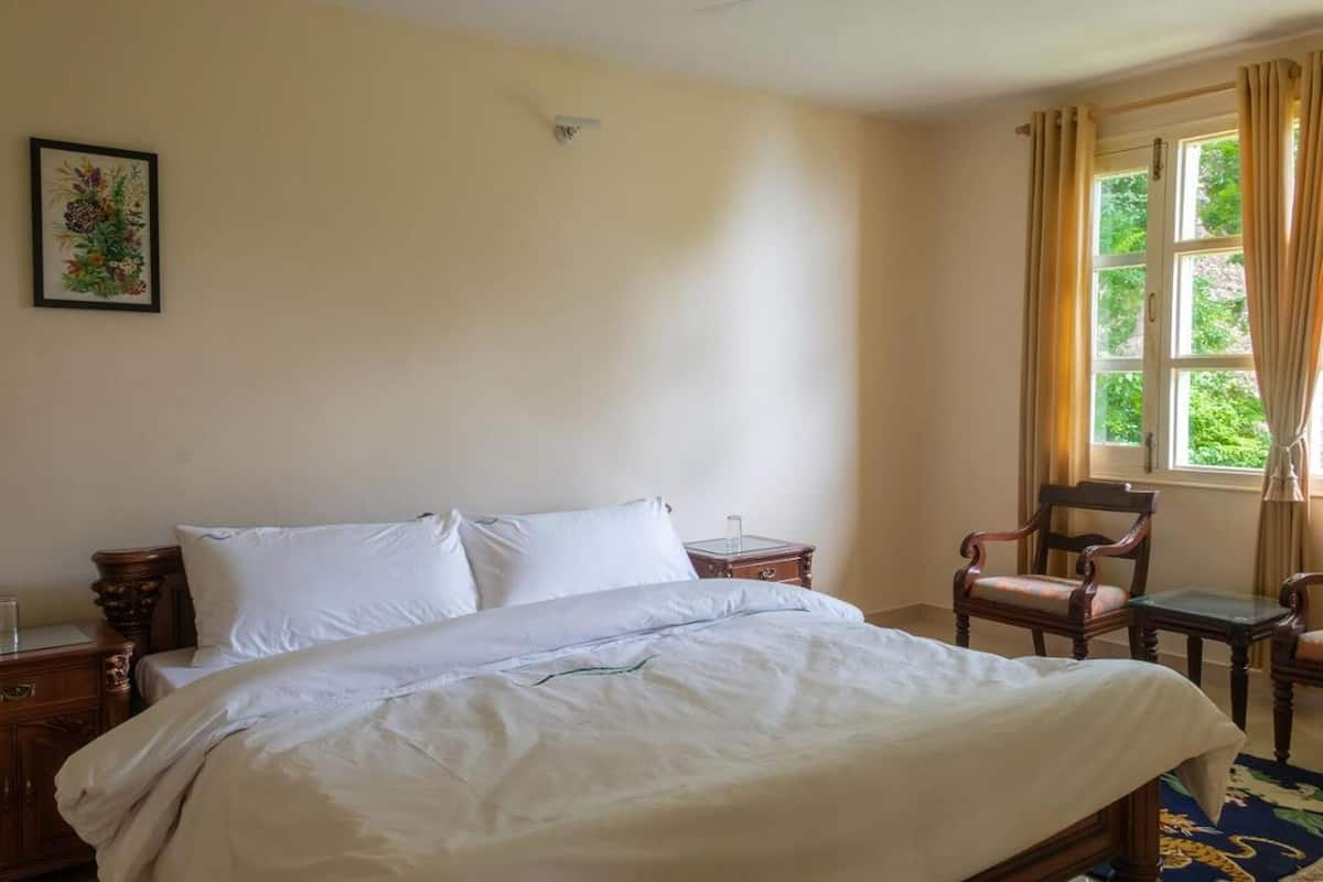 Desk, soundproofing, iron/ironing board, free WiFi