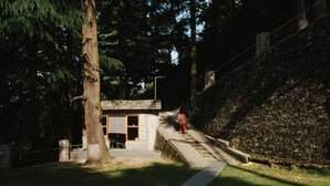 Front of property - BluSalzz Villas - the Pine Tree, Dalhousie - Himachal Pradesh (Dalhousie)