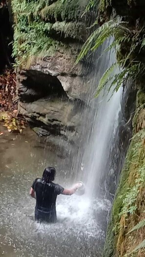 Front of property - Nature Treat Resort (Kandaghat)