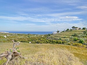 Un paysage côtier avec des bâtiments, de la végétation et un ciel dégagé.