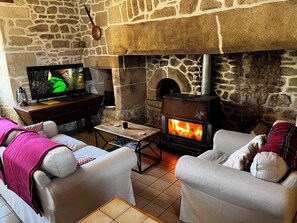 Televisión, chimenea, libros y impresora 