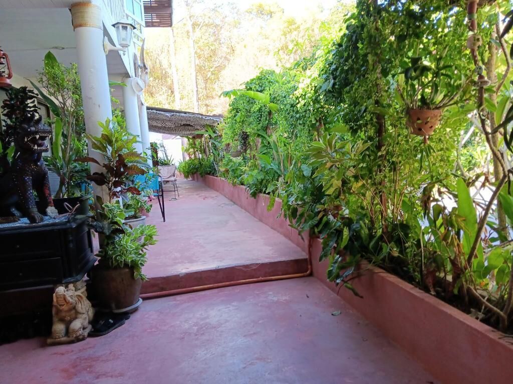 Jardines del alojamiento