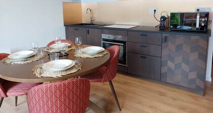 La Villa Bompard*** 50mÂČ CĆur de ville avec terrasse