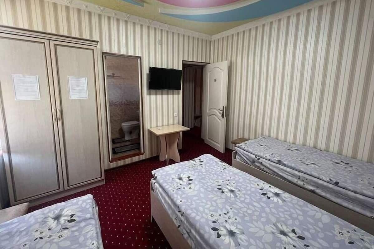 Een hotelkamer met twee eenpersoonsbedden, een bureau, een kledingkast, een douche en een televisie.