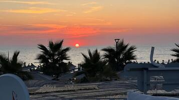 Vista al atardecer desde una zona de playa con palmeras y una antena parabólica.