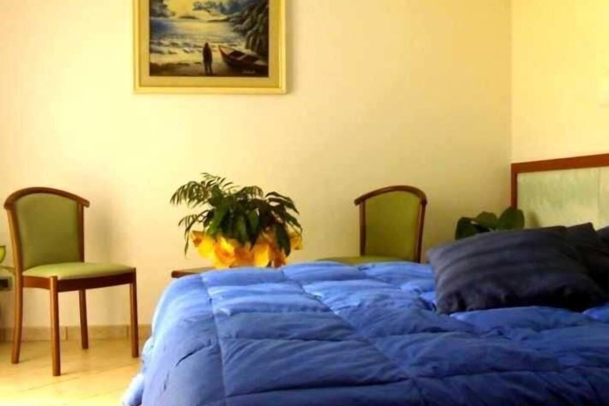 Un dormitorio con una cama, dos sillas, una planta en maceta y un cuadro en la pared.