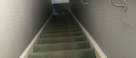 A narrow staircase with green carpeted steps and a handrail, leading to a landing with a door at the top.