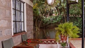 A cozy patio with a red carpet, wooden furniture, and potted plants.