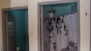 A bathroom with a toilet, a sink, and a shower curtain with a bamboo design.