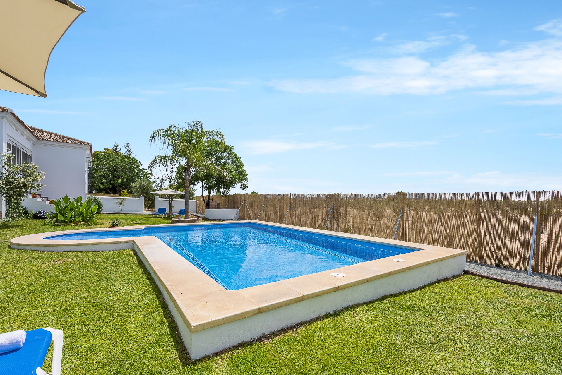 A rectangular swimming pool with a curved edge, surrounded by a well-maintained lawn and a wooden fence.