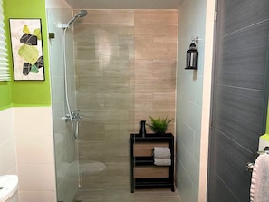 Hair dryer, towels, soap, toilet paper
