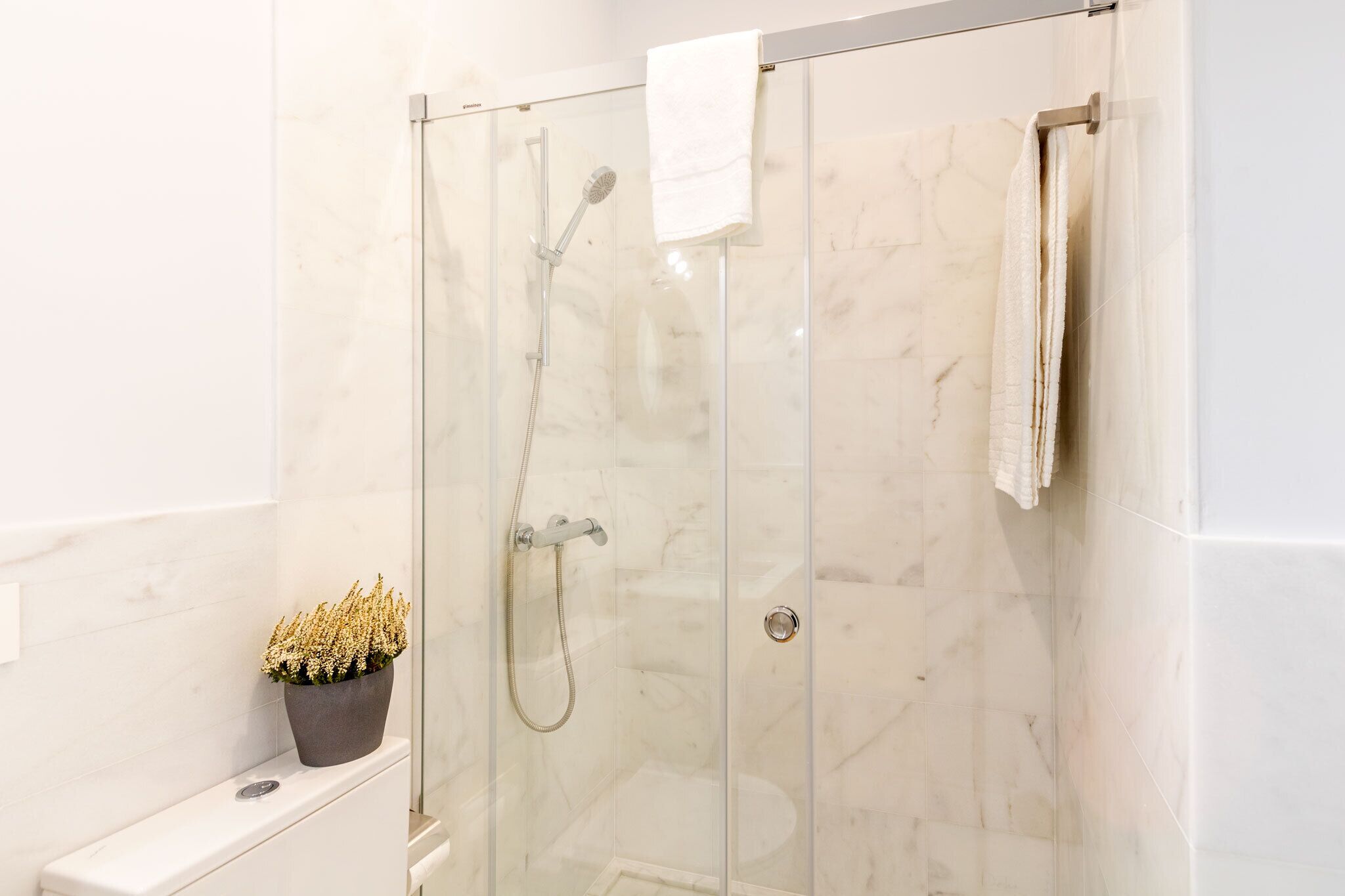 A modern bathroom with a glass-enclosed shower, a toilet, and a potted plant.