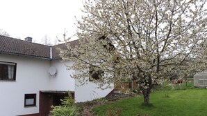 A white house with a brown roof, a small garden, and a tree with white blossoms. - Vacation home Beulskopf - relaxing in nature (Heupelzen)