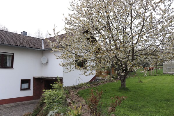 A white house with a brown roof, a small garden, and a tree with white blossoms. - Beulskopf Vacation Home—Relaxation in the Heart of Nature (Heupelzen)