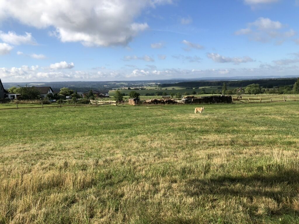 A rural landscape with a grassy field, a few scattered buildings, and a distant view of hills.