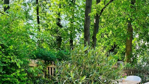 Un espace extérieur aménagé avec des chaises en osier et une table ronde, entouré d’une végétation luxuriante et d’une clôture en bois.