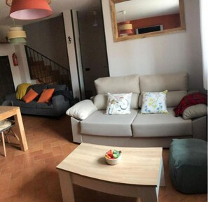 TV, fireplace, books