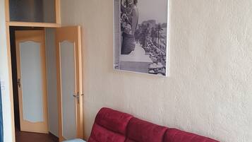 TV, fireplace, books