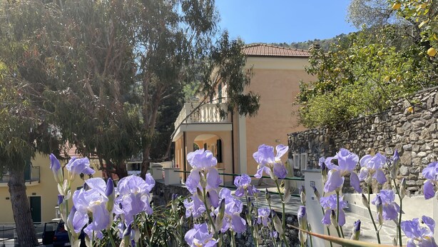 A courtyard with purple flowers, a stone wall, and a building with a balcony. - Holiday Rooms La Campagnetta (Alassio)