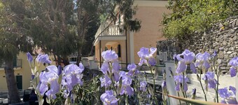 Holiday Rooms La Campagnetta