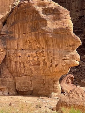 Ecotours