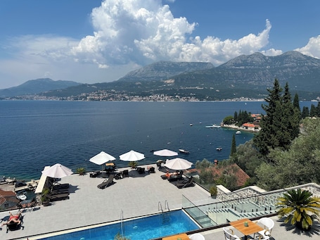 外观. 阿加佩玫瑰