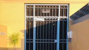Una entrada con puerta y una planta en maceta a un lado.
