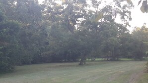 A grassy field with trees in the background. - Private, 1 Mile to Poe, 4 miles to Blue, 6 Miles to Ginnie. Tent/Camper camping (High Springs)
