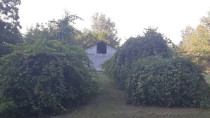 A pathway leading to a small shed surrounded by dense foliage. - Private, 1 Mile to Poe, 4 miles to Blue, 6 Miles to Ginnie. Tent/Camper camping (High Springs)