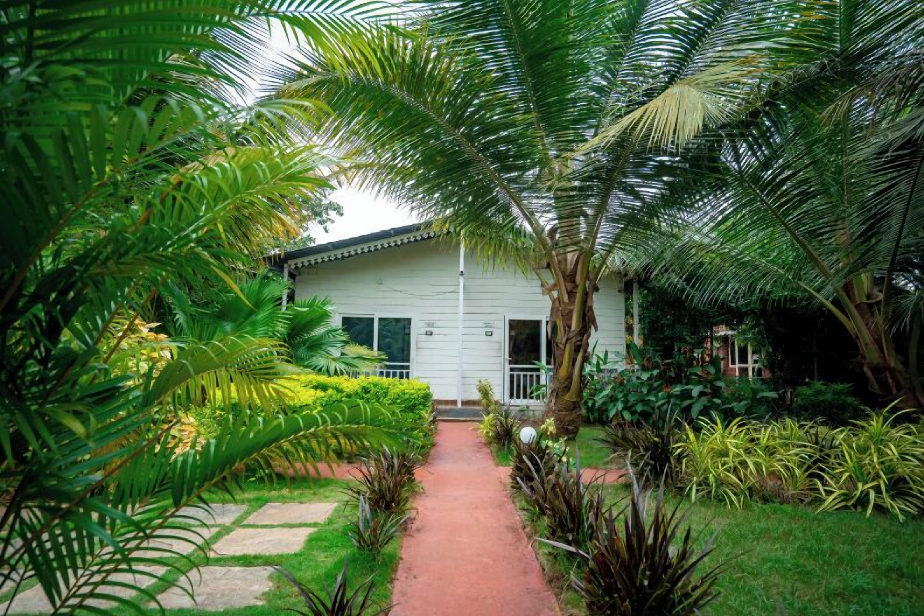 Un sentiero che conduce a un edificio bianco, circondato da vegetazione lussureggiante e palme.