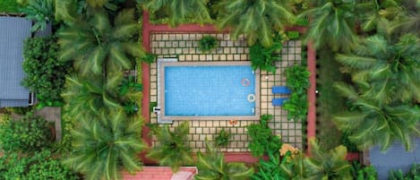 An aerial view of a pool surrounded by palm trees and greenery, with a tiled deck and a small lounge area.