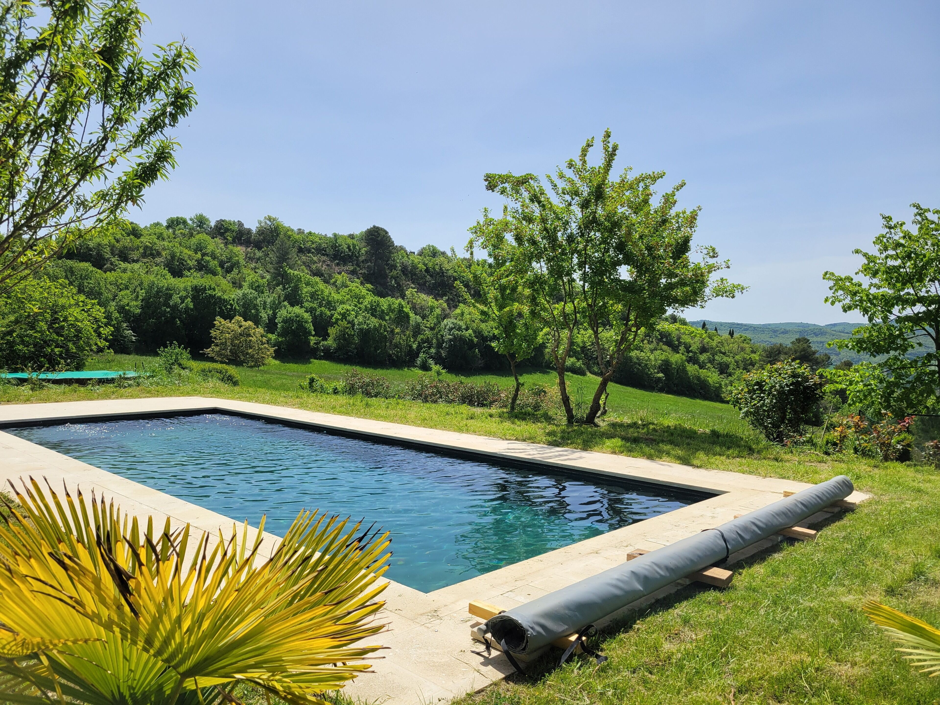 Una piscina rectangular amb un vèrtex de formigó, envoltada de vegetació i arbres frondosos.