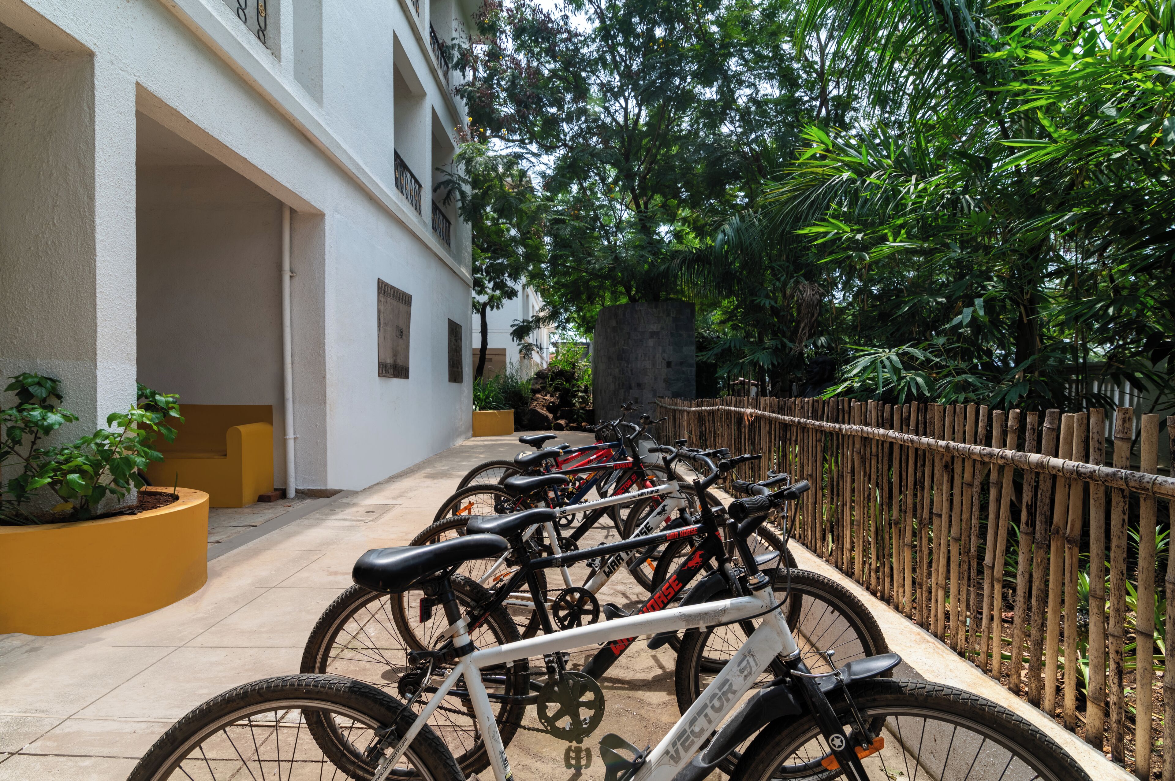 Diverse biciclette parcheggiate lungo un sentiero in un cortile con un edificio bianco e una recinzione in bambù.