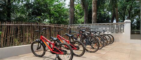 Varias bicicletas estacionadas en un espacio al aire libre, con una valla de bambú y palmeras al fondo.