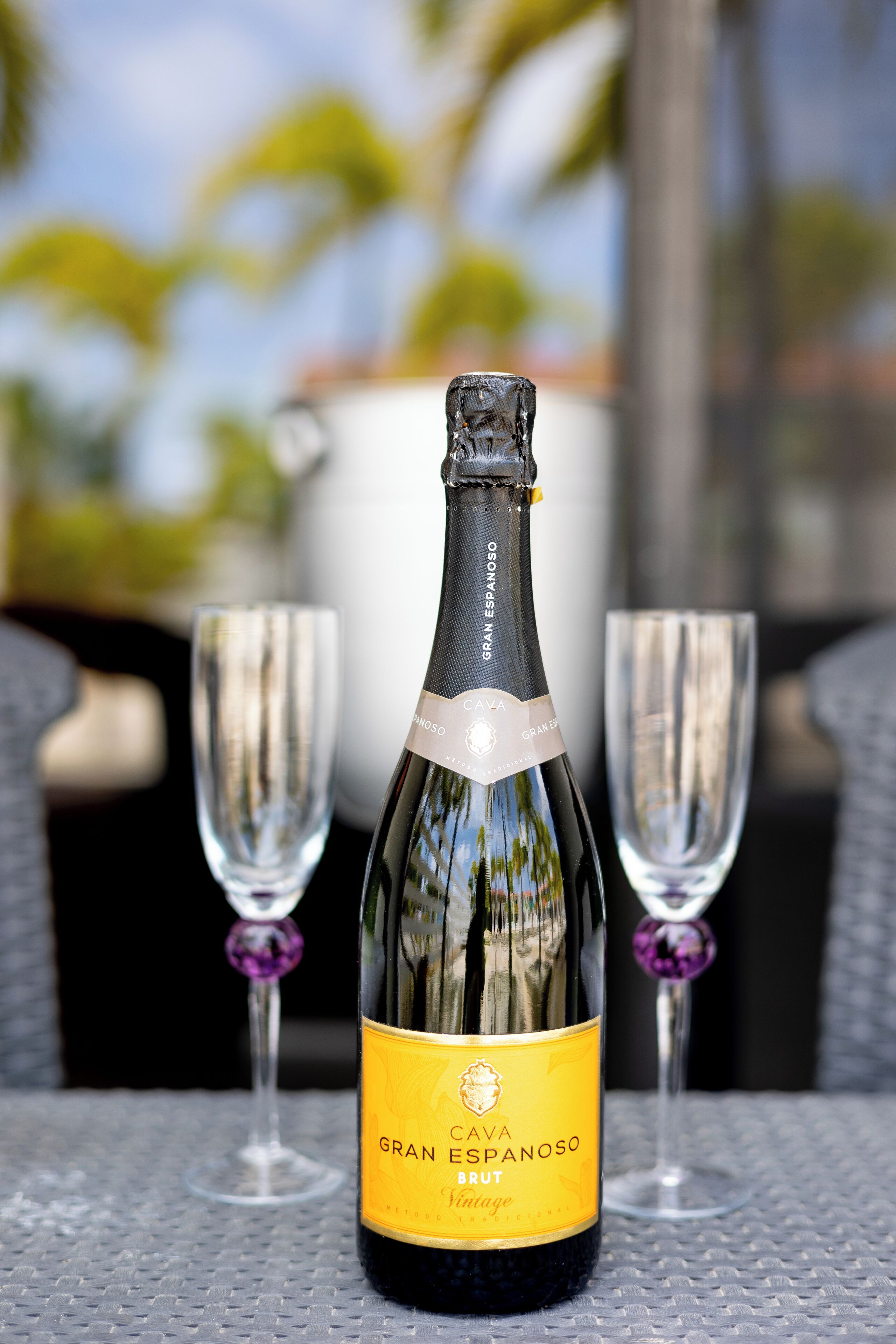 Una botella de vino Gran Cava Brut con dos copas sobre una mesa.