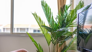 全景独立别墅 | 3 多间卧室、笔记本电脑工作区、隔音、免费 WiFi