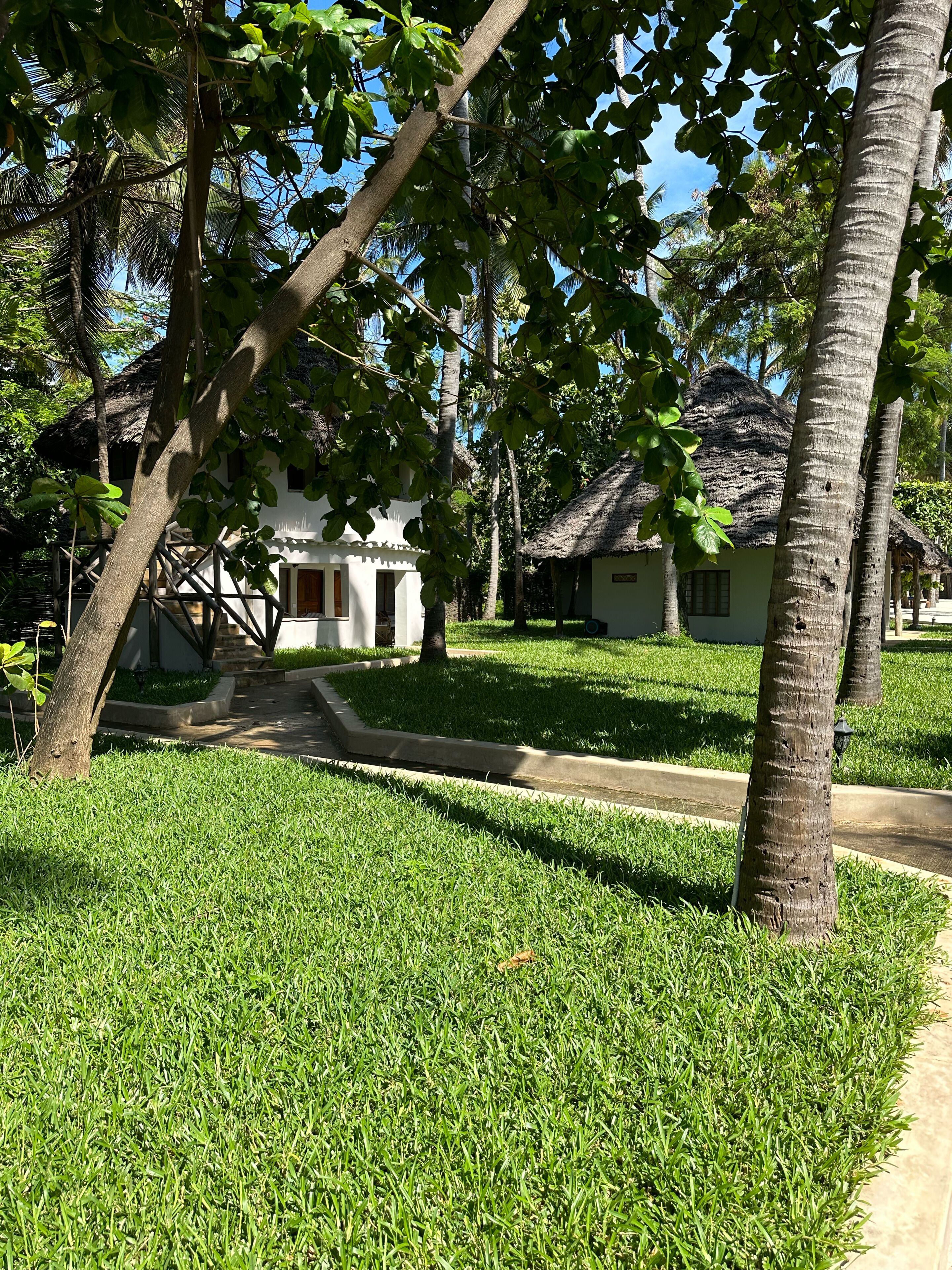 A well-maintained garden with a pathway leading to a white building with a thatched roof.