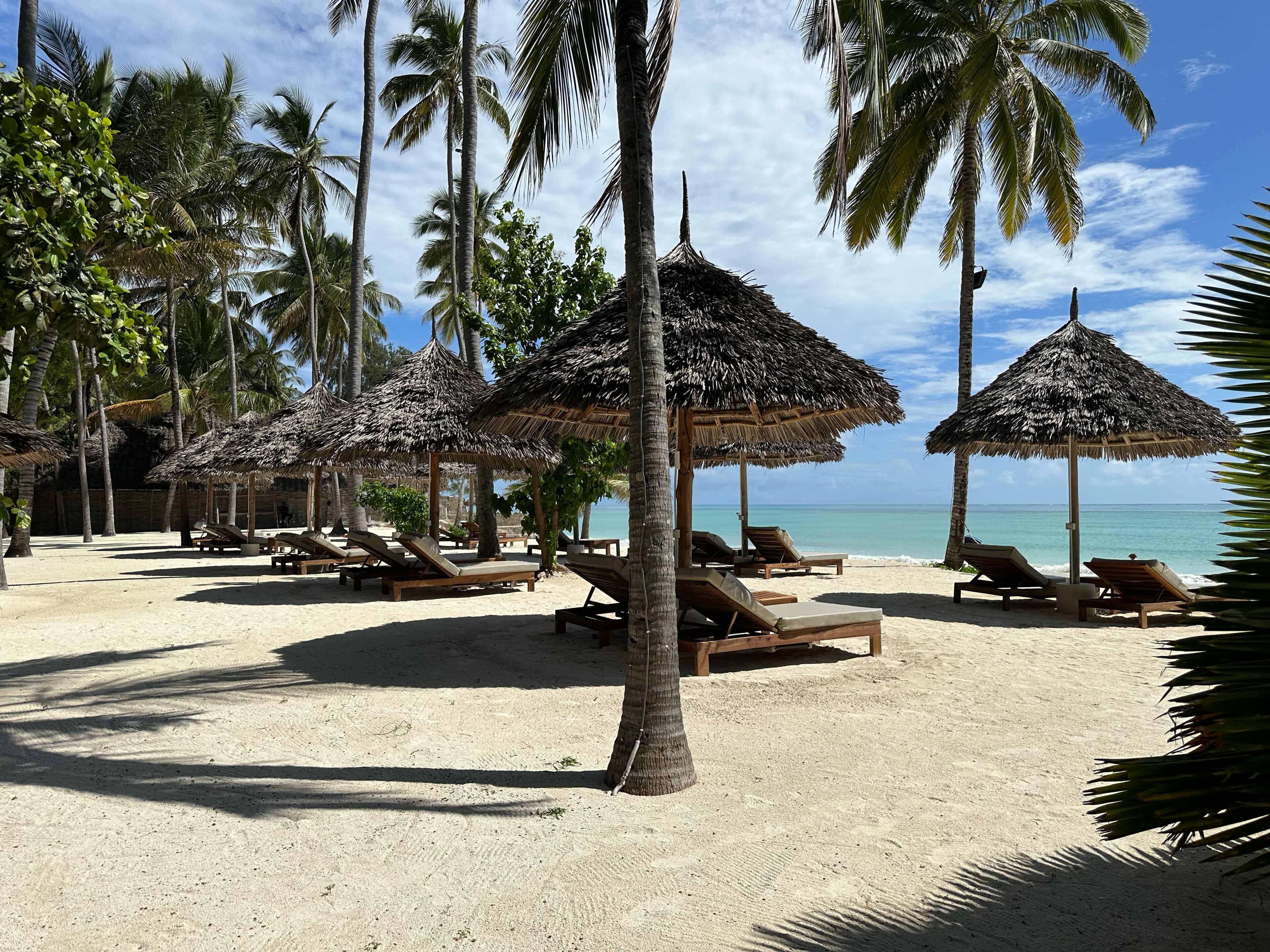 A beach with palm trees, thatched umbrellas, and sun loungers.