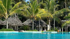A swimming pool with palm trees and thatched-roof huts. - Ndame Paje Hotel (Paje)