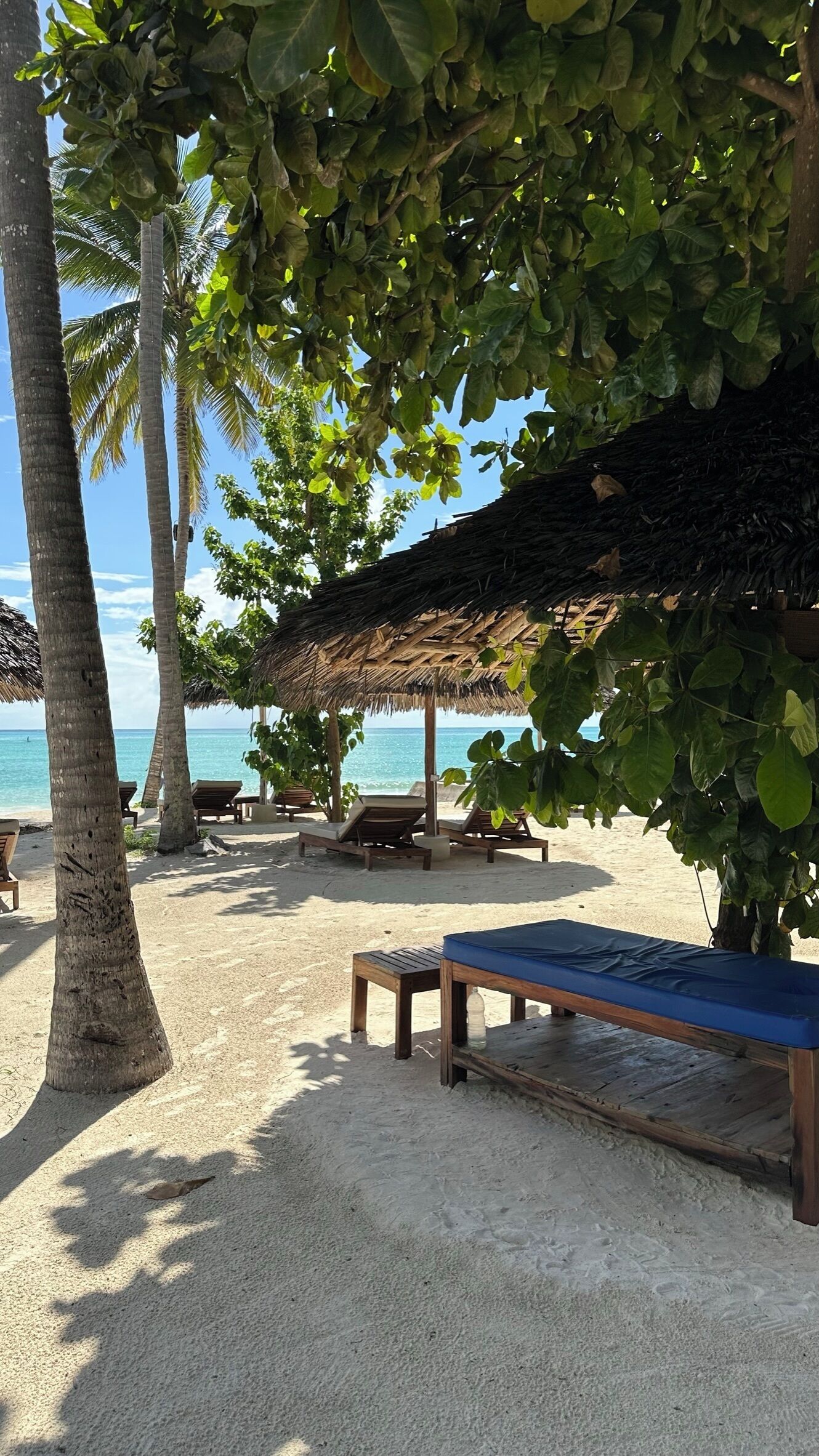 Una playa con estructuras de techo de paja, sillas de madera y palmeras.