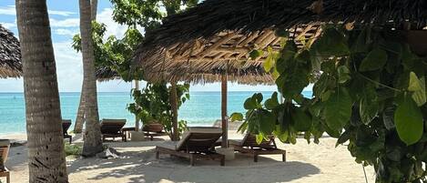 Una playa con estructuras de techo de paja, sillas de madera y palmeras.